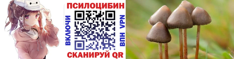 Галлюциногенные грибы мицелий  Ростов 